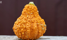 抖音粉丝群功能详解与运营技巧