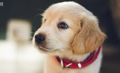 抖音人生文案短句合集20条走心治愈系金句